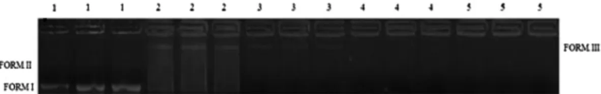 Fig. 3. Antigenotoxic action of leaf aqueous extract from Ocotea odorifera (EOO). Note: 1: negative control (75.5 l g DNA + 100.0 l L H 2 O), 2: positive control (75.5 l g DNA + 750.0 l g SnCl 2 ), 3: (75.5 l g DNA + 750.0 l g SnCl 2 + 562.5 l g EOO), 4: (