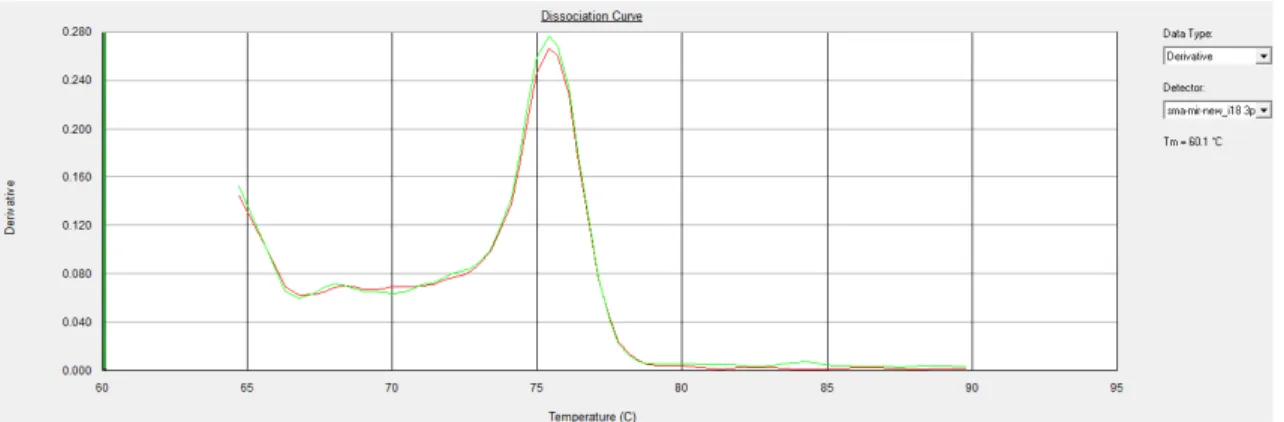 Figura 15: Curva de dissociação do miRNA 18-3p. Representado na figura somente  um pico de amplificação da curva de dissociação do sma-miR-new 18-3p
