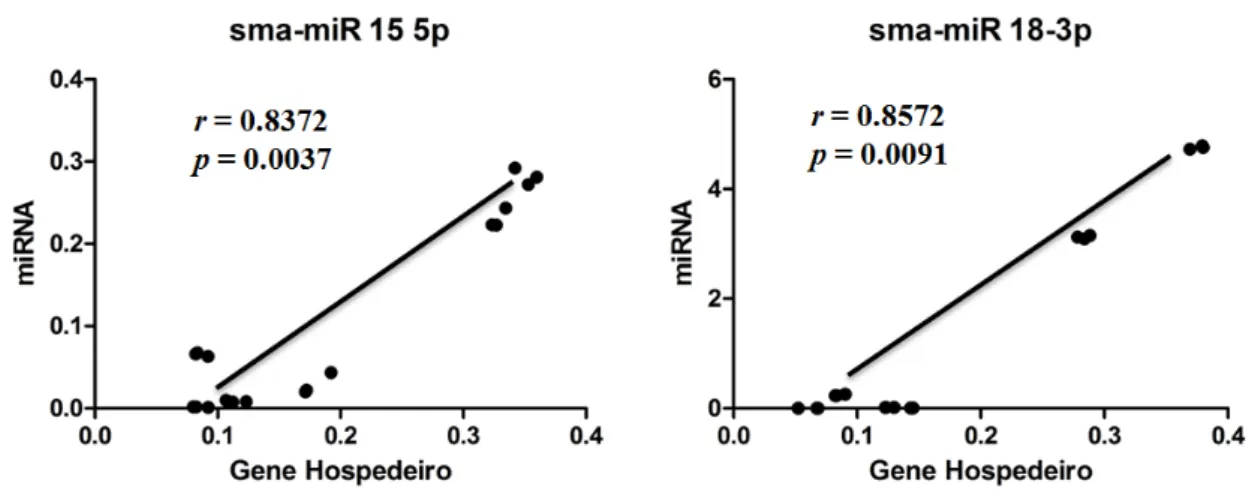 Figura  25:  Correlação  de  Pearson  entre  miRNAs  e  os  seus  genes  hospedeiros.  O  nível  de  expressão  relativa  dos  pares  miRNAs  -  Genes  hospedeiros  foram  analisados  pelo coeficiente de Pearson (r)