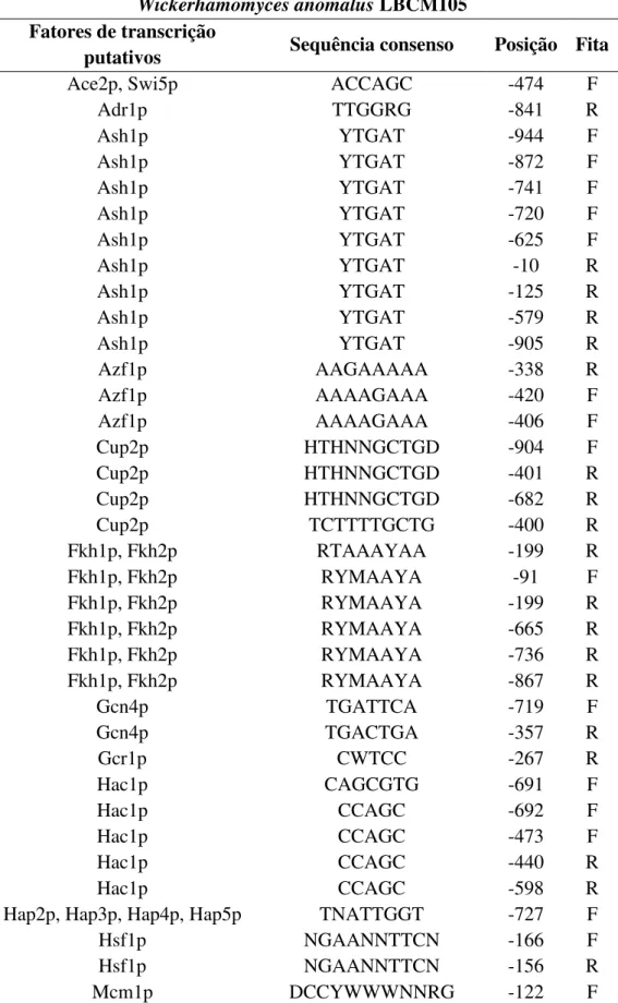 Tabela 5.  Fatores de transcrição putativos correspondentes à região promotora (1000 pb  upstream) do gene STL1 putativo em Wickerhamomyces anomalus LBCM105  