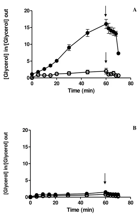 Figura 10.  Transporte  ativo  de  glicerol  pelo  transportador  Stl1  de  W.  anomalus  LBCM105 (A) e  S