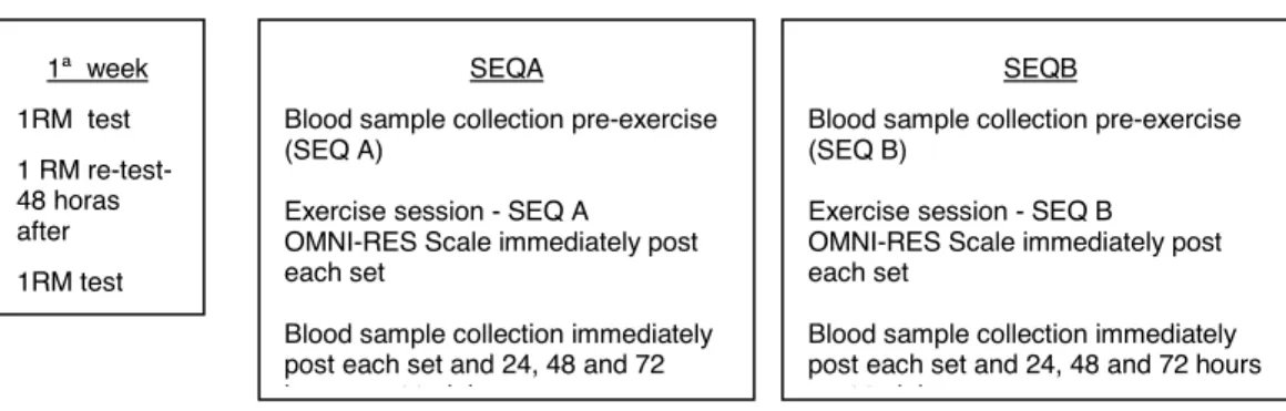 FIGURE 1.1 The experimental protocol design in a counterbalanced crossover design 