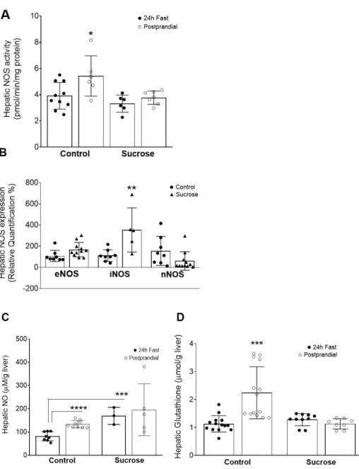 Figure 2. Prolonged exposure to sucrose in the diet leads to changes in hepatic NOS expression and  liver levels of NO and GSH