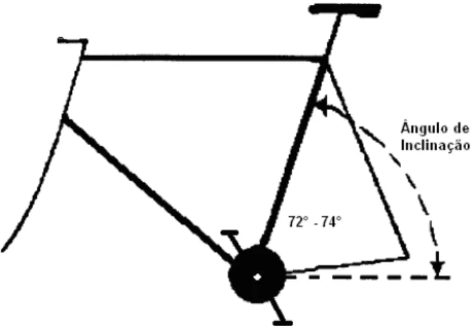 Figura  1.  Representação  esquemática  do  ângulo  de inclinação do tubo do selim. 