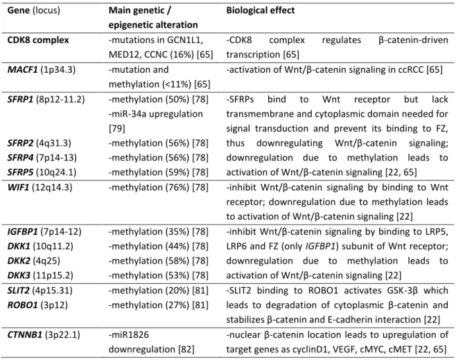 Table 4. More frequently described genetic and epigenetic events affecting WNT  – β-catenin  pathway