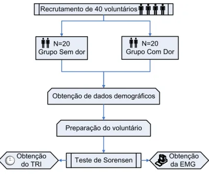 Figura 3 – Fluxograma dos procedimentos experimentais 