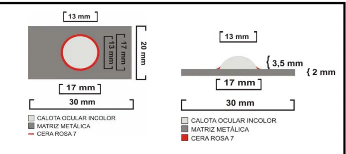 FIGURA 1 – Esquema representativo das dimensões da matriz metálica com as  calotas oculares posicionadas em vista superior e vista frontal 