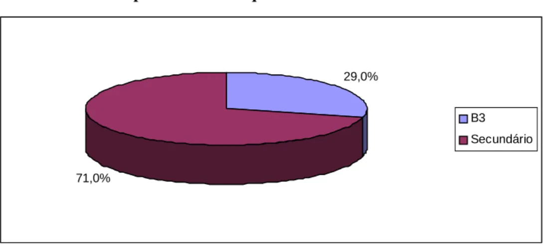 Gráfico 4.4 -  Tipo de Curso Frequentado 