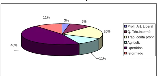 Gráfico 4.9 -  Profissão dos pais dos formandos 