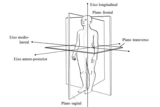 Figura 2.2 – Planos e eixos cardinais do corpo humano (adaptado de Knudson, 2007).  