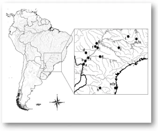 Figura 2: Mapa identificando os locais de amostragem de Brycon orbignyanus. 