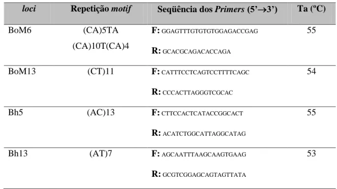 Tabela 2: Seqüência de nucleotídeos das repetições motifs, dos primers flanqueadores e  temperatura  de  anelamento  (Ta)  para  os  loci  de  microssatélite  analisados  para  B