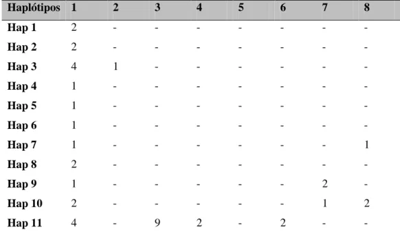 Tabela 8: Número de indivíduos por haplótipo e sua distribuição dentro dos grupos de  B