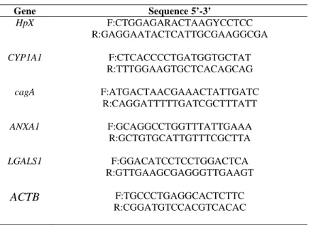 Table  1.  Primers  sequences  used  in  multiplex  PCR  to  determine  H.  pylori  infection  and  cagA+  genotype and primers used in qPCR