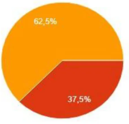 Gráfico nº1: Nº de trabalhadores 