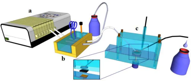 FIGURA  3.4  –   Ilustração  da  montagem  do  sistema  em  fluxo.  Em  (a)  bomba  peristáltica, (b) injetor comutator manual e (c) detector eletroquímico