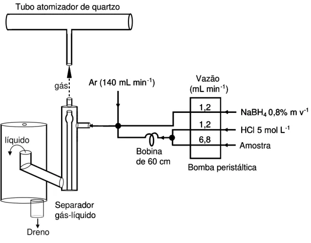 FIGURA 2.1 - Esquema do sistema HGAAS para determinações multielementares. 