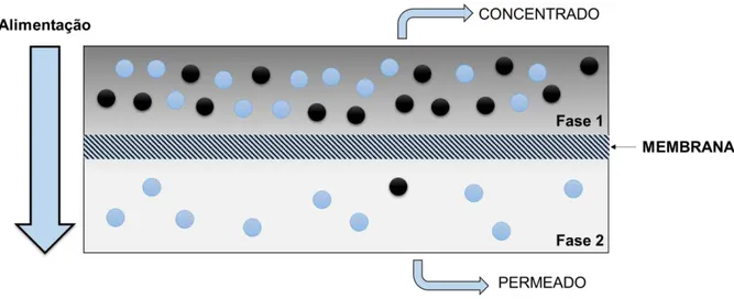FIGURA  2.1-    Representação  esquemática  do  fracionamento  de  uma  solução  utilizando permeação seletiva através de uma membrana