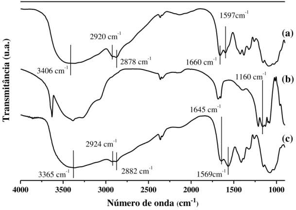 FIGURA 5. 2: Espectro de FT-IR: quitosana (a), tripolifosfato de sódio (b) e  nanopartículas de quitosana (c)