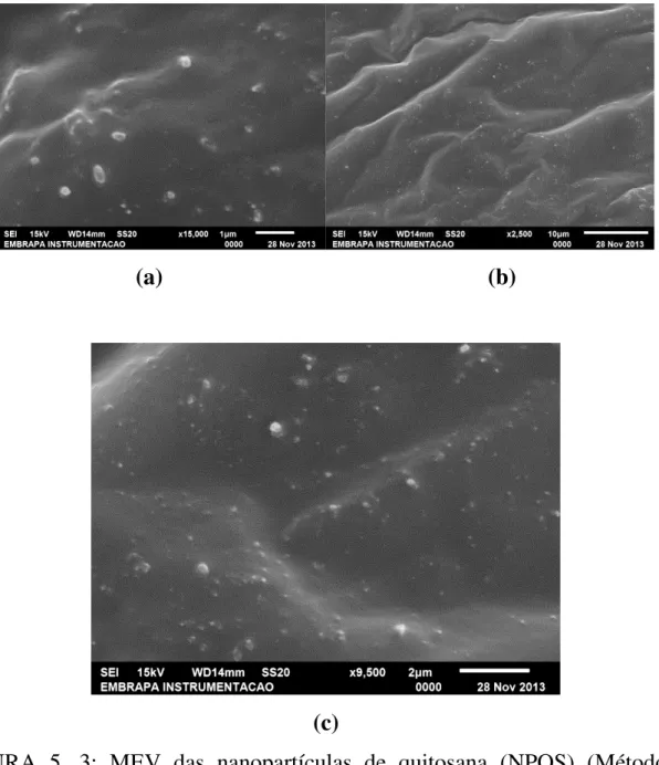 FIGURA  5.  3:  MEV  das  nanopartículas  de  quitosana  (NPQS)  (Método  de  secagem em silício metálico): (a), (b), (c) diferem apenas da região analisadas