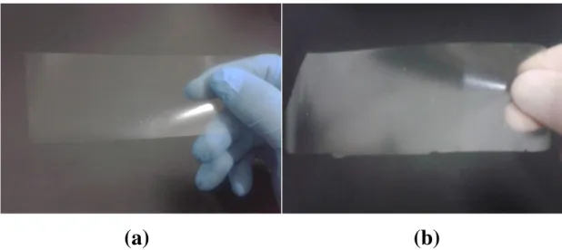 FIGURA 5. 9: Filmes nanocompósitos: (a) pectina de alto grau de metoxilação e  nanopartículas  de  quitosana  e  (b)  pectina  de  baixo  grau  de  metoxilação  e  nanopartículas de quitosana.