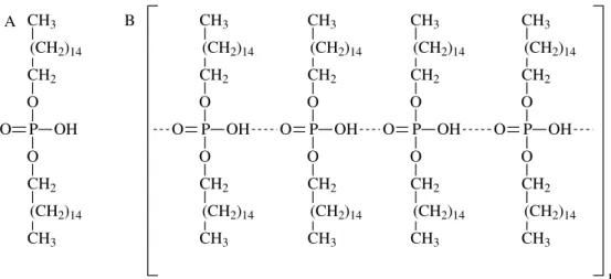 FIGURA 1.9  –  (A) Estrutura molecular do DHP. (B) Possível forma polimerizada do  DHP após evaporação do solvente