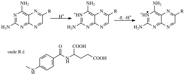 FIGURA 1.12  –  Mecanismo proposto por GAO et al. 55 , para a oxidação do MTX. 