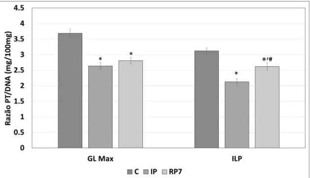 Figura  4.  Razão  proteína  total/DNA  (mg/100mg)  dos  músculos  glúteo  máximo  (GL  Max)  e  Iliopsoas  (ILP)  dos  grupos  controle  (C),  imobilização  pélvica  (IP)  e  remobilizado  pós  7  dias  (RP7)