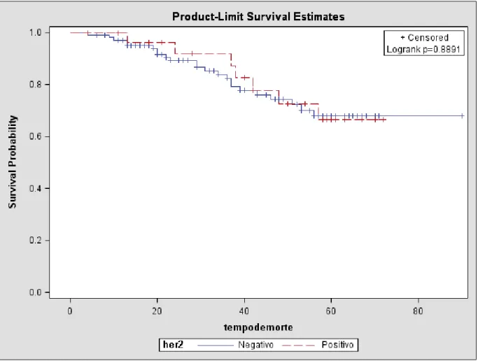 Figura 2: Sobrevida para casos HER-2 em portadores de câncer de mama no  HRS entre 2005 e 2010