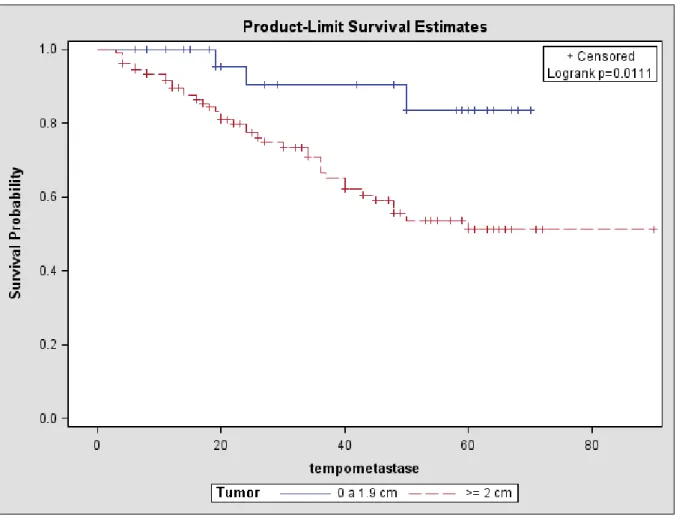 Figura 4: Sobrevida livre de doença em relação ao tamanho do tumor em  portadores de câncer de mama no HRS entre 2005 e 2010