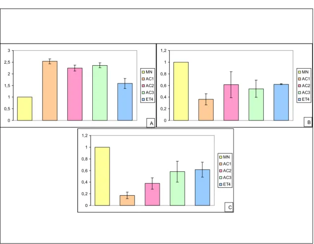 Figura  6.  Quantificação  da  expressão  relativa  das  metiltransferases  em  folhas  jovens  de  café