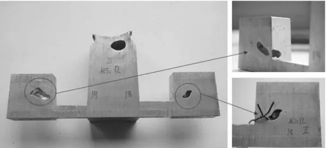 Figure 2.4 - Detail views from AlSi12, short freezing, section 14 mm and 18 mm, showing the surface  connected porosity