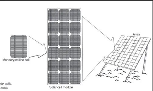 Figura 20 - Hierarquia fotovoltaica, célula monocristalina, módulo de  células e array fotovoltaico (7) 