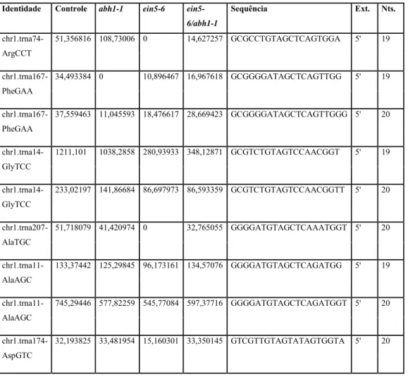 Tabela  02:  Expressão  de  tRFs  anotados  nas  bibliotecas  de  diferentes  mutante da via de processamento de RNA
