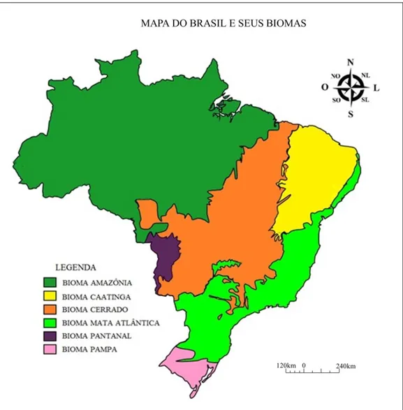 Figura 2: Mapa dos biomas brasileiros.  