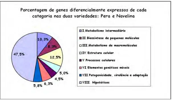 Figura  6:  Porcentagem  que  os  genes  diferencialmente  expressos  de  cada  categoria  funcional  representam dos 400 genes diferencialmente expressos nas duas variedades