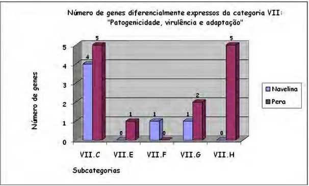 Figura  8:  Número  de  genes  diferencialmente  expressos  da  categoria  VII,  distribuído  entre  as  respectivas  subcategorias  (VII.C:  Produção  de  toxinas,  detoxificação;  VII.E:  Exopolissacarídeos;  VII.F: Proteínas de superfície; VII.G: Adapta