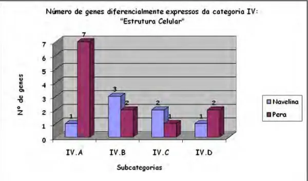 Figura 9: Número de genes da categoria IV, distribuído entre as respectivas subcategorias (IV.A:  Componentes  de  membrana;  IV.B:  Murein  sacculus,  peptidoglicano;  VI.C:  Polissacarídeos  de  superfície, lipopolissacarídeos, e antígenos; IV.C: Estrutu