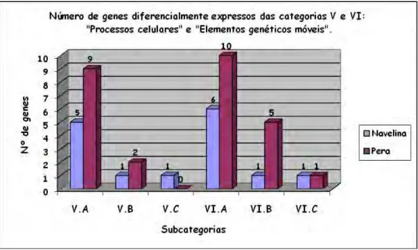 Figura  10:  Número  de  genes  das  Categorias  V,  e  VI,  distribuídos  entre  as  respectivas  subcategorias (V.A: Transporte; V.B: Divisão celular; V.C: Quimotáxis e mobilidade; VI.A: Funções  relacionadas  a  fagos  e  profagos;  VI.B:  Funções  rela