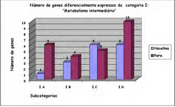 Figura  11:  Número  de  genes  da  categoria  I  “Metabolismo  intermediário”,  distribuído  entre  as  respectivas  subcategorias  (I.A:  Degradação  de  polissacarídeos  e  pequenas  moléculas;  I.B:  Metabolismo  intermediário  central;  I.C:  Metaboli