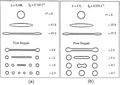 Figura 2.5Processo de  2.3 Elastômeros termo Os elastômeros características  de  proc propriedades de uma bo Segundo  a  norm termoplásticos  são  um contrário  de  uma  borr reciclado como um mat Os  TPE  tem  vár vulcanizados convencio 1