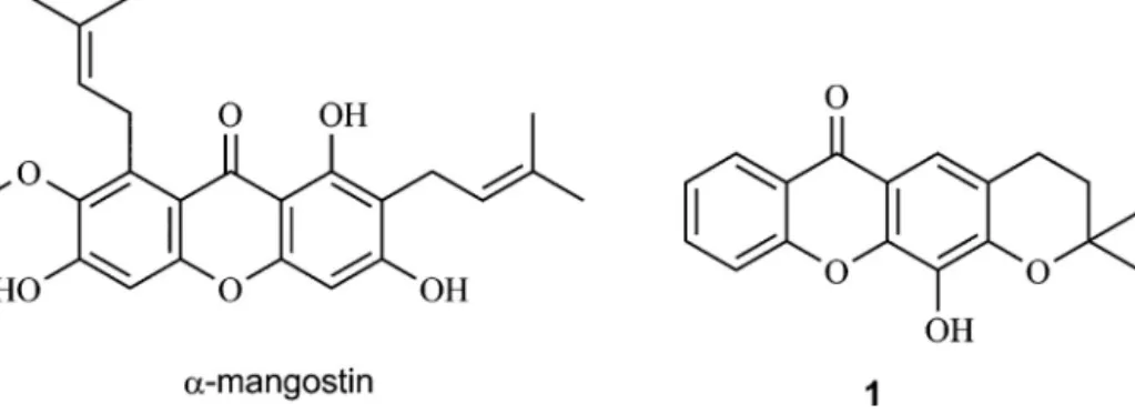 Fig. 1. Representative prenylated xanthones inhibitors of p53–MDM2 interaction: ␣-mangostin and the target molecule of this study, 3,4-dihydro-12-hydroxy-2,2-dimethyl- 3,4-dihydro-12-hydroxy-2,2-dimethyl-2H,6H-pyrano[3,2-b]xanthen-6-one (1).