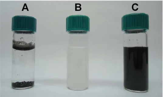 FIGURA 3.2 – Imagens de frascos contendo MWCNTs 1 mg mL − 1  dispersos em  água (A), solução de DHP 1 mg mL − 1  em tampão fosfato 0,1 mol L − 1  (pH 7,0) (B) e  MWCNTs  1 mg mL − 1  dispersos em solução de DHP 1 mg mL − 1  em tampão fosfato  0,1 mol L − 1
