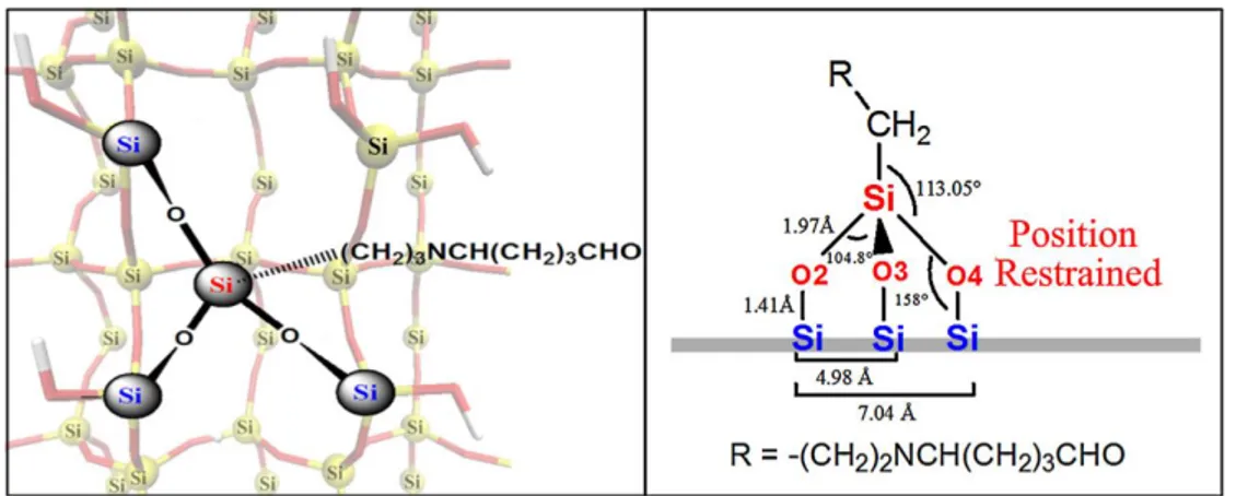 Figura  6  –   Ligação  do  APTES  na  superfície  de  nitreto  de  silício  do  microcantilever,  adaptado de (OLIVEIRA et al., 2013)