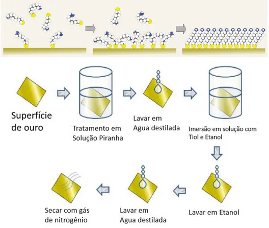 Figura 8  –  Processo de ativação dos microcantilevers por TIOL, adaptado de (BAIN; 