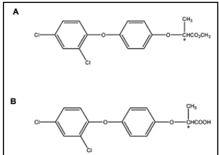 FIGURA 8 – Representação da Estrutura química do Diclofop-metílico (A) e Diclofop  (B)