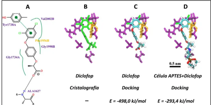 FIGURA 12 – Docking Molecular do herbicida Diclofop (retro-docking) e Docking  Molecular da célula APTES+Diclofop