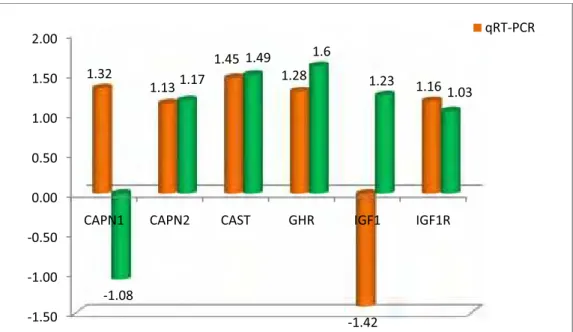 Figura 2 – Expressão relativa dos genes diferencialmente expressos comparando  resultados de “Fold Change” entre qRT-PCR e Microarranjo 
