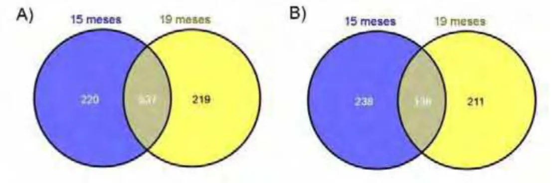 Figura 4. Diagrama de Venn da distribuição dos genes mais expressos A) Genes  DE em animais Angus B) Genes DE em animais Nelore