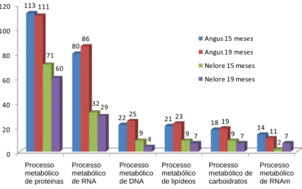 Figura 5.  Distribuição dos genes entre as categorias de processos metabólicos do  GO